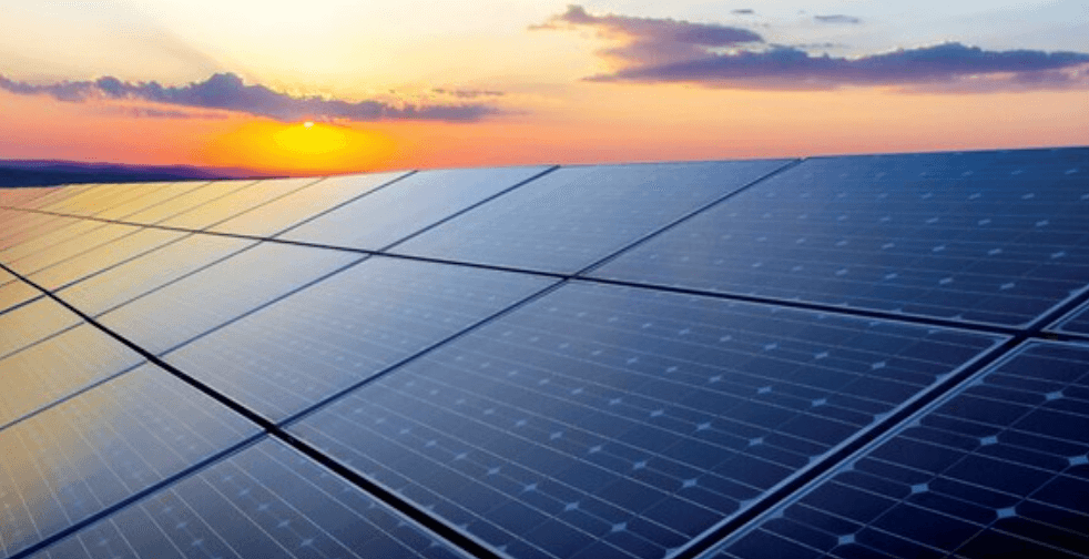 Real Men Burn Stuff! Trump's Stupid War On Renewable Energy