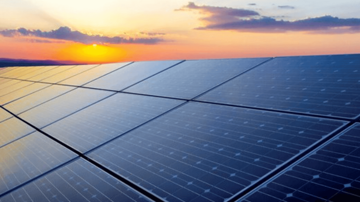 Real Men Burn Stuff! Trump's Stupid War On Renewable Energy