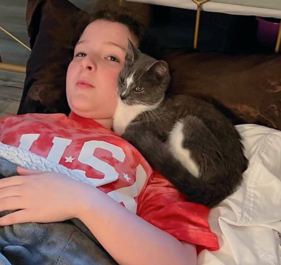 kitten best friends