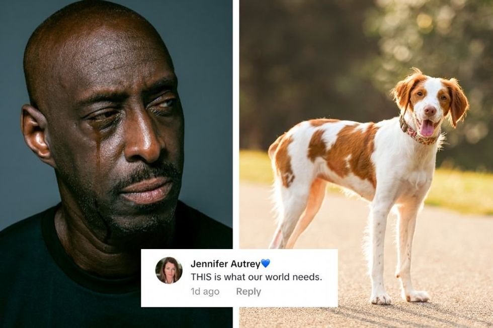 UPS driver breaks down into tears saying goodbye to dogs he's known for over 10 years