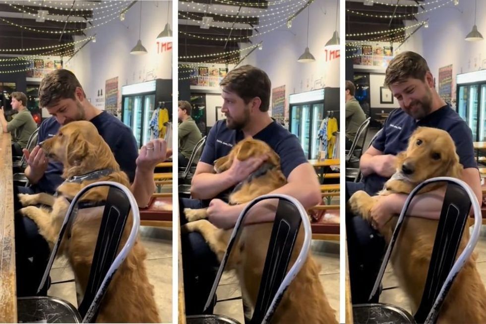Sweet Golden Retriever runs into his vet at a bar and absolutely loses it