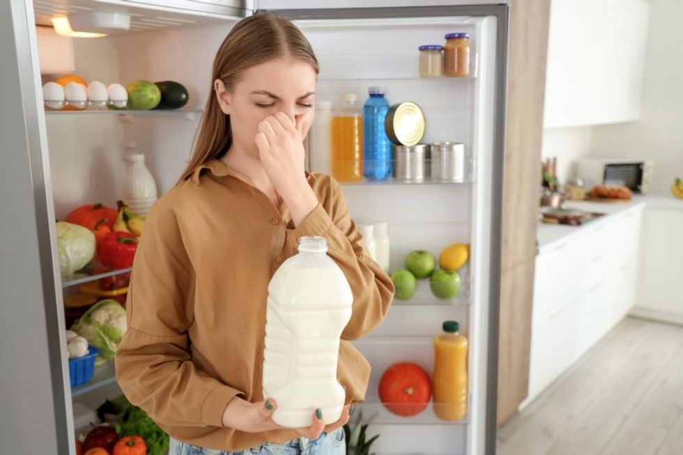 food spoilage, food safety, how to know if food is good, milk, meat, fish