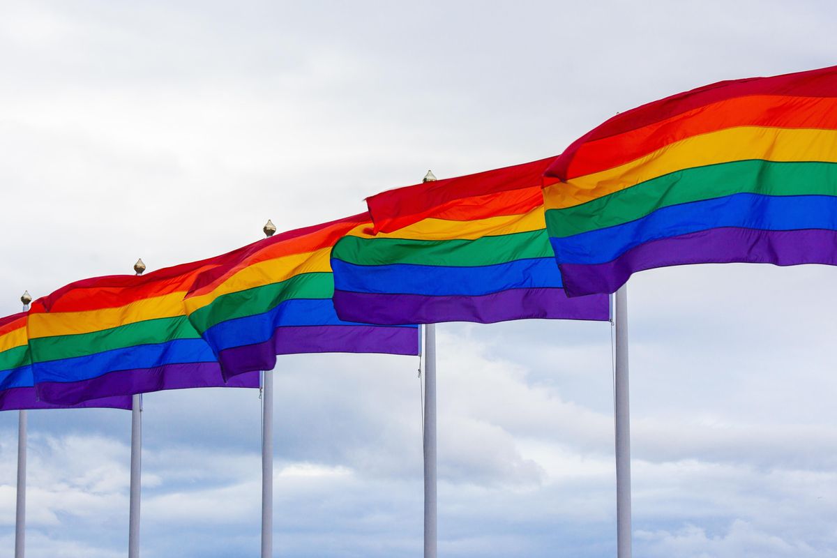 pride flags, rainbow flags, lgbtq flags, flags in wind, gay pride