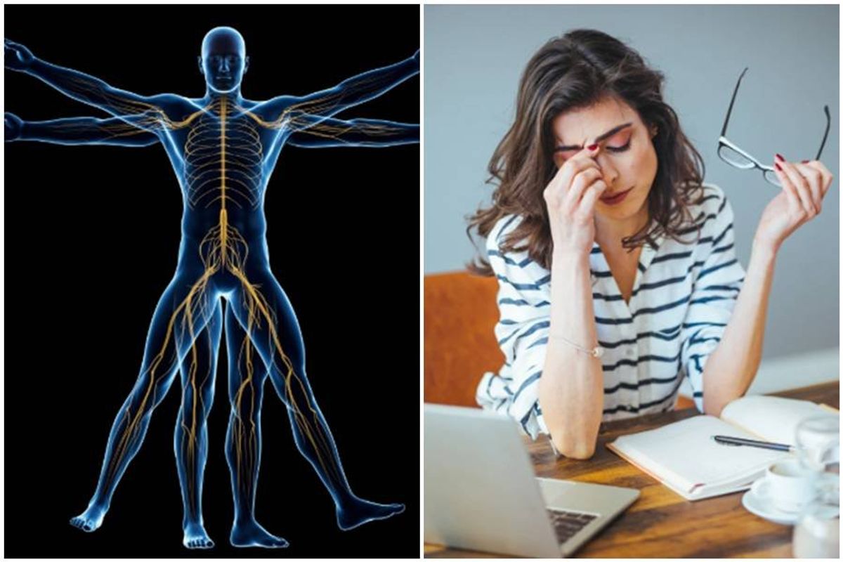nervous system, stress, human body, healing, work, pain, chronic illness