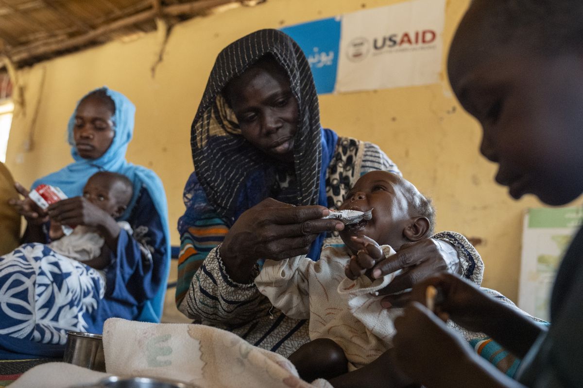 Trump-Musk Gutting of USAID Could Lead to More Than 14 Million Deaths Over ...