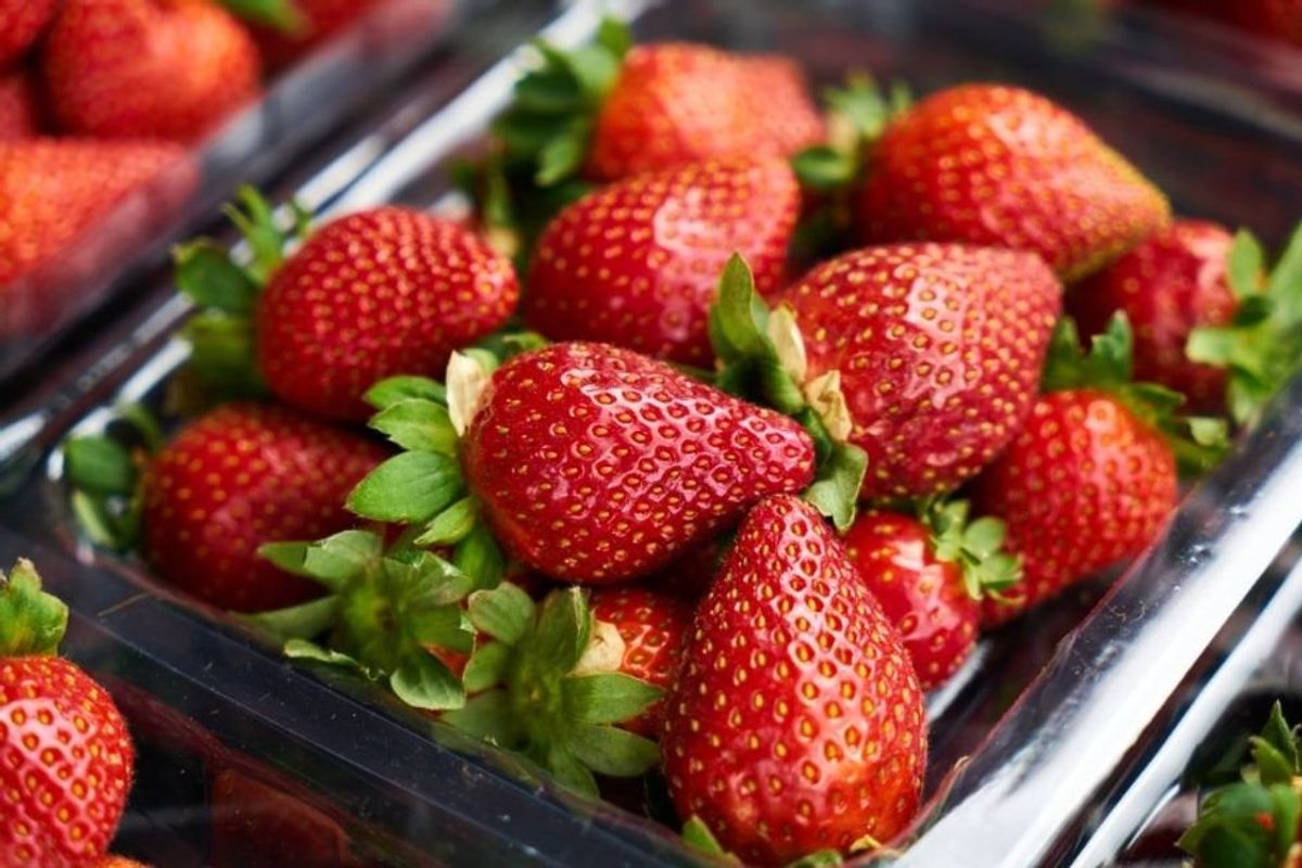 strawberries, harvest, produce, farming, fruit