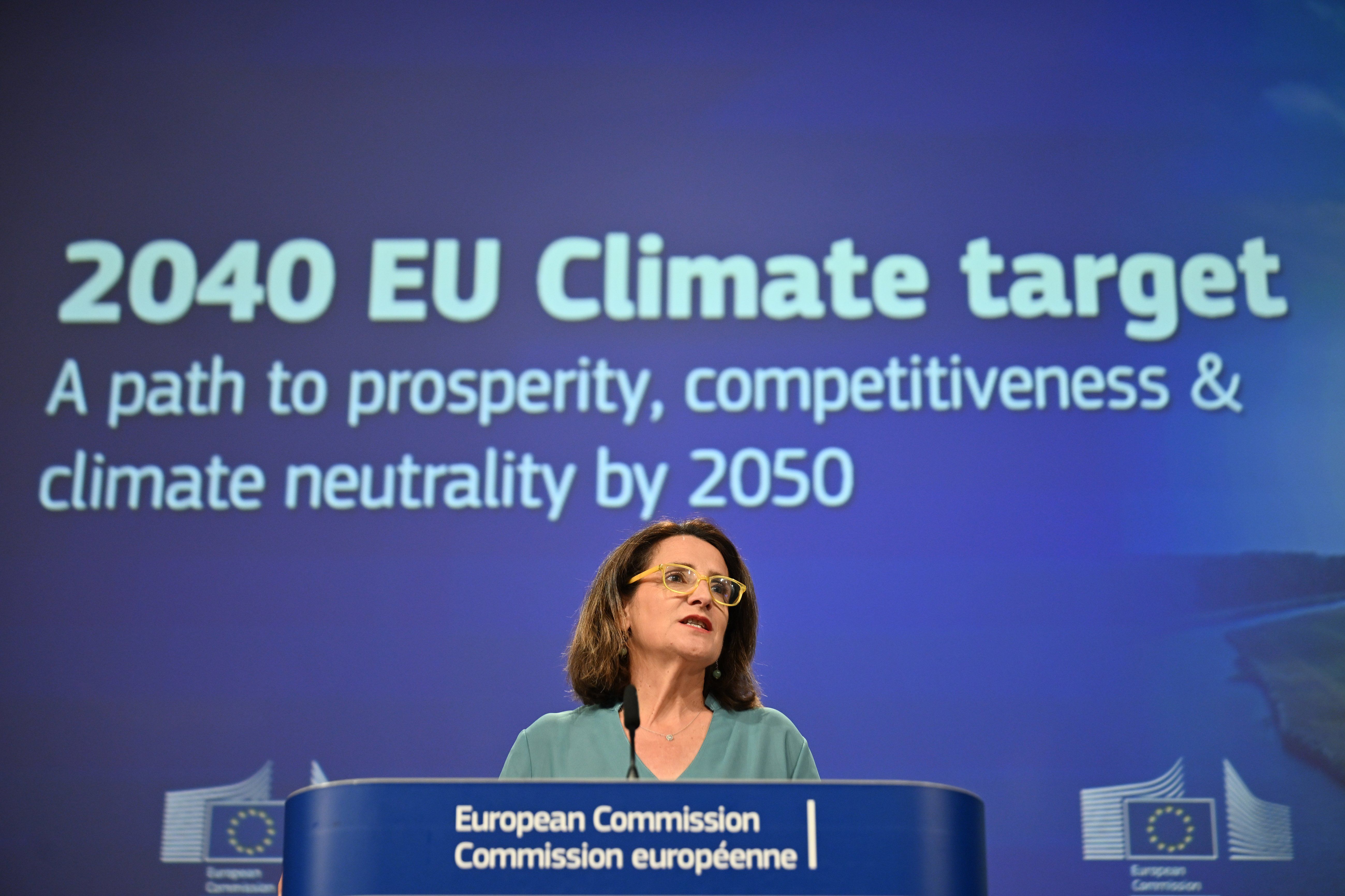 La Ue parla di flessibilità ma rilancia i traguardi green sulla pelle dell’industria