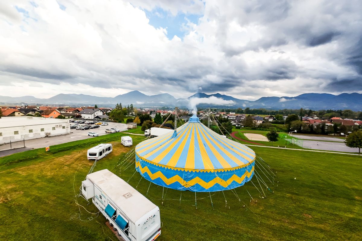 Ai dem non basta la figuraccia fatta sul tax credit. Ora si danno al circo