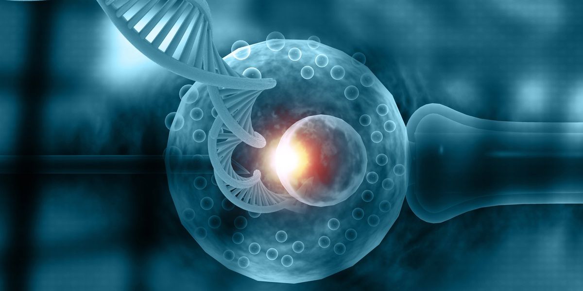 La svolta inglese: bimbi nati con tre Dna La svolta inglese: bimbi nati con tre Dna