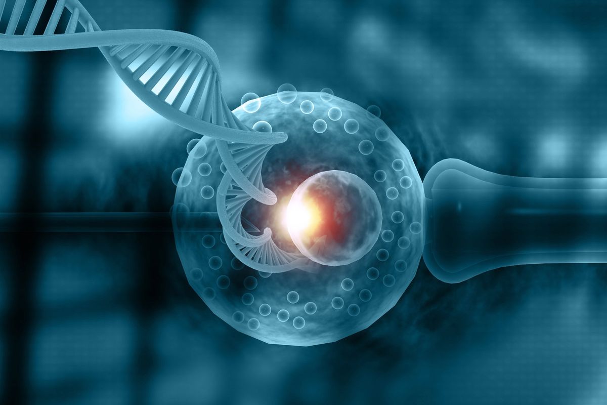 La svolta inglese: bimbi nati con tre Dna