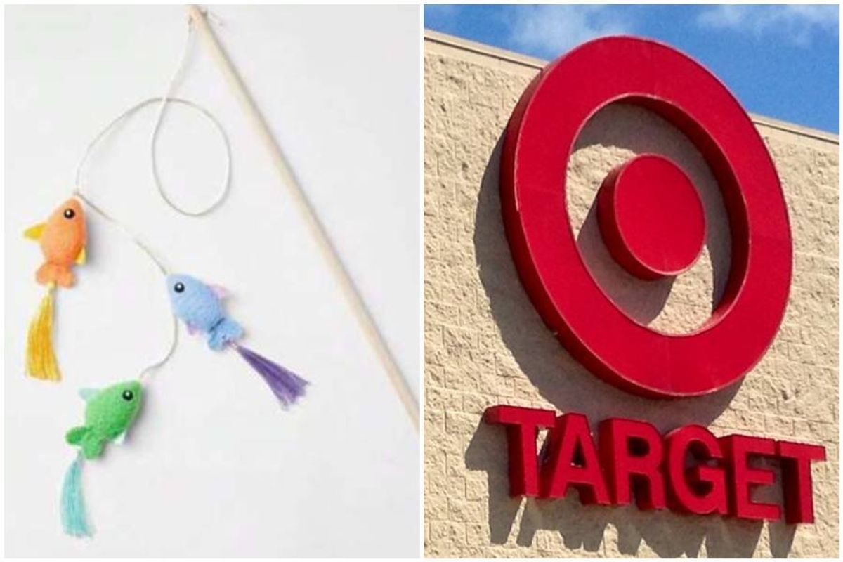 target, cat toys, fish, plush fish, target logo, fishing rod