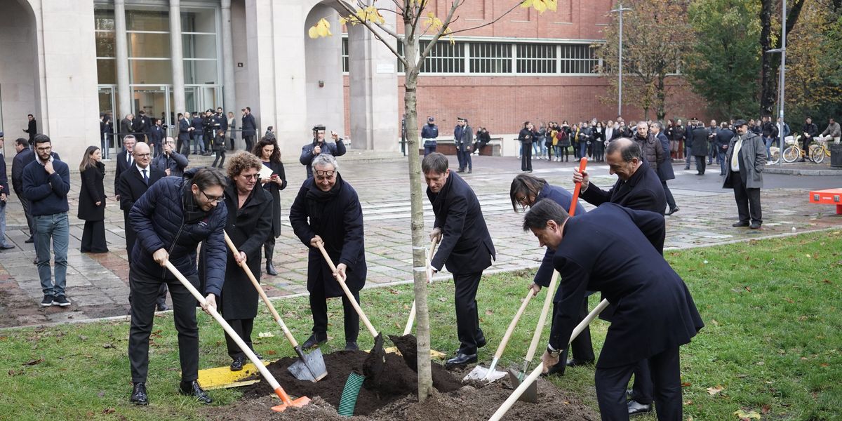 Il vero modello green di Sala e Boeri: una valanga di soldi per alberi morti Il vero modello green di Sala e Boeri: una valanga di soldi per alberi morti