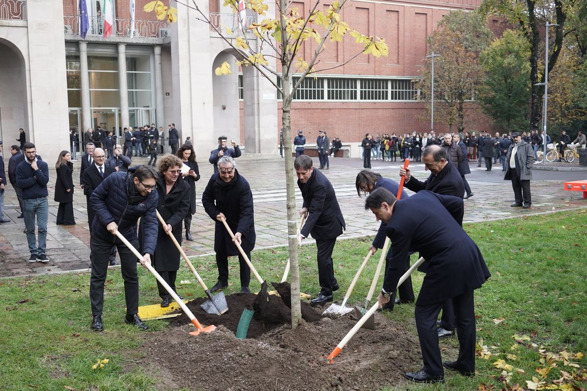Il vero modello green di Sala e Boeri: una valanga di soldi per alberi morti