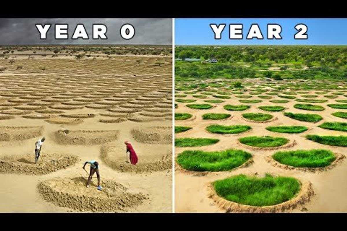 farming, desert, oasis, farmland, new tech, water harvesting