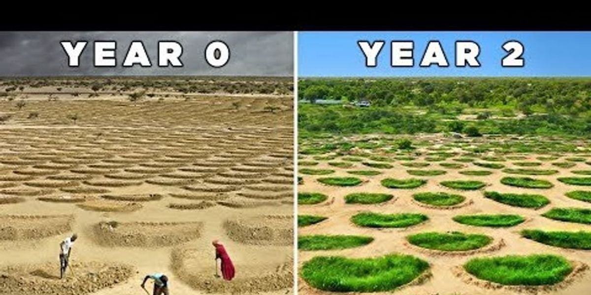Ancient Half-Moon Water Harvesting Revitalizes Arid Lands