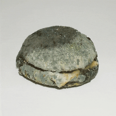 boomers, millennials, generations, grandparents, boomer grandparents, millennial parents, 90s, 2000s, technology, humor