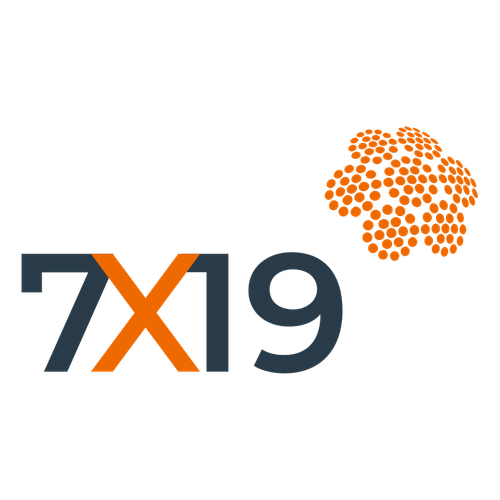 7x19