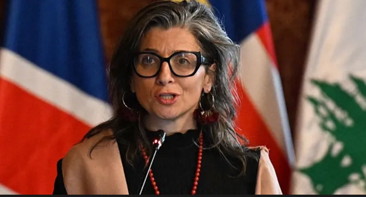 At Hague Group Emergency Summit, 30+ Nations Seek to 'Halt the Genocide in ...