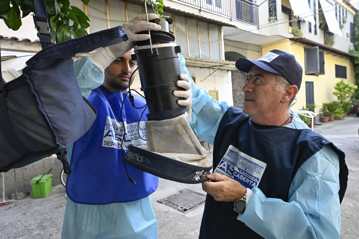 La febbre del Nilo alza il velo. Big Pharma si muove solo per interessi economici