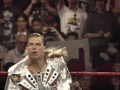 wwe, wwf, shawn michaels, stone cold steve austin, wrestling, pro wrestling, sports, down syndrome, special needs