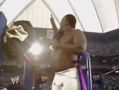 wwe, wwf, shawn michaels, stone cold steve austin, wrestling, pro wrestling, sports, down syndrome, special needs
