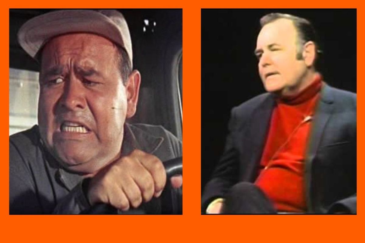 Jonathan Winters, comedy, mental health, interview
