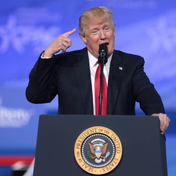 Smearing The Innocent, Trump Gets Caught In His Own Conspiracy Trap