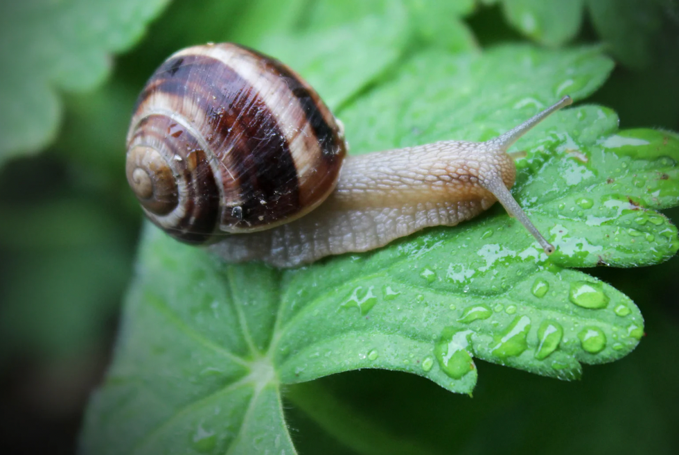 childhood, core memories, frugal, money, money free activities, parenting, kids