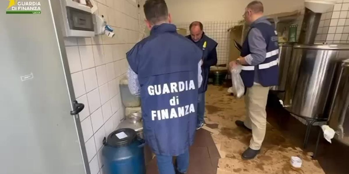 Olio contraffatto impiegato nei pasti per bambini e anziani