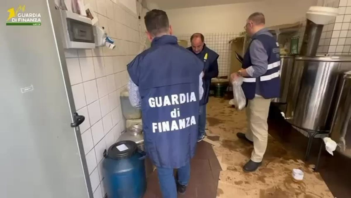Olio contraffatto impiegato nei pasti per bambini e anziani
