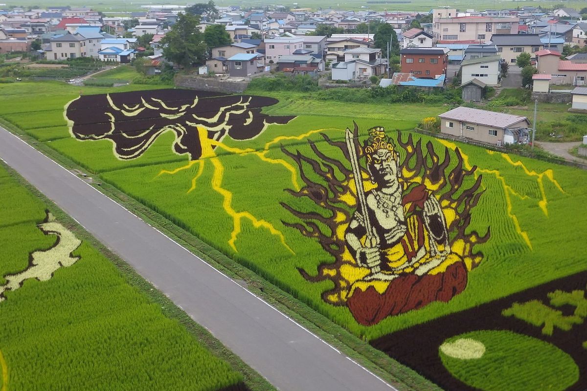 rice paddy art, tanbo art, inakadate village, japan