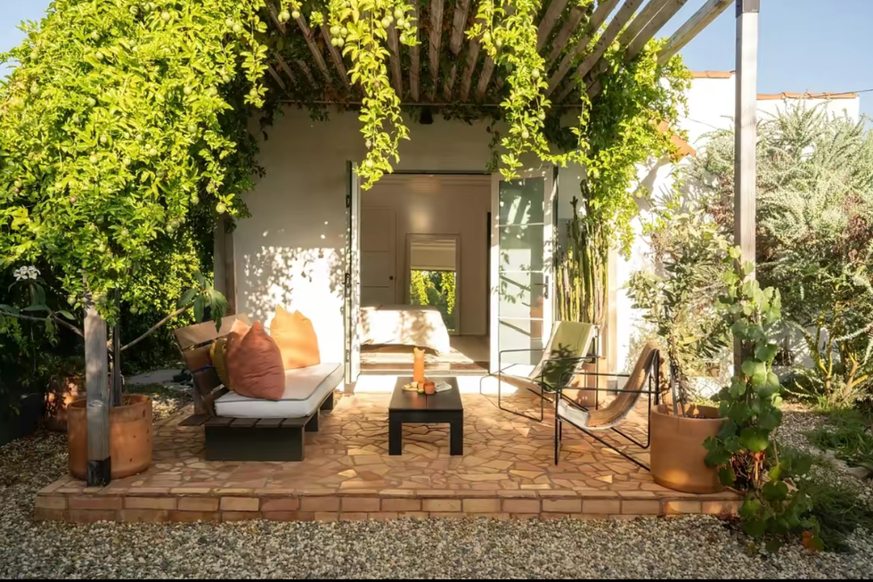 backyard, boring, dilapidated, renew, makeover, new, patio , diy, gardening, sustainability, making a garden