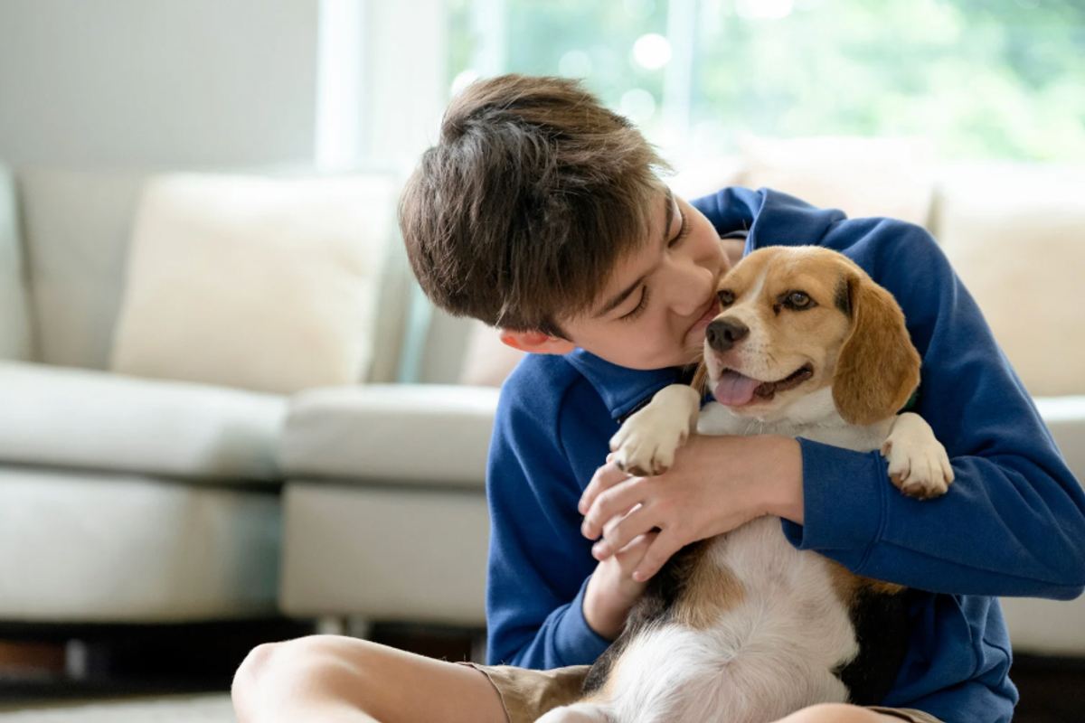 dogs, pets, dog anxiety, dog studies, dog psychology, pet psychology