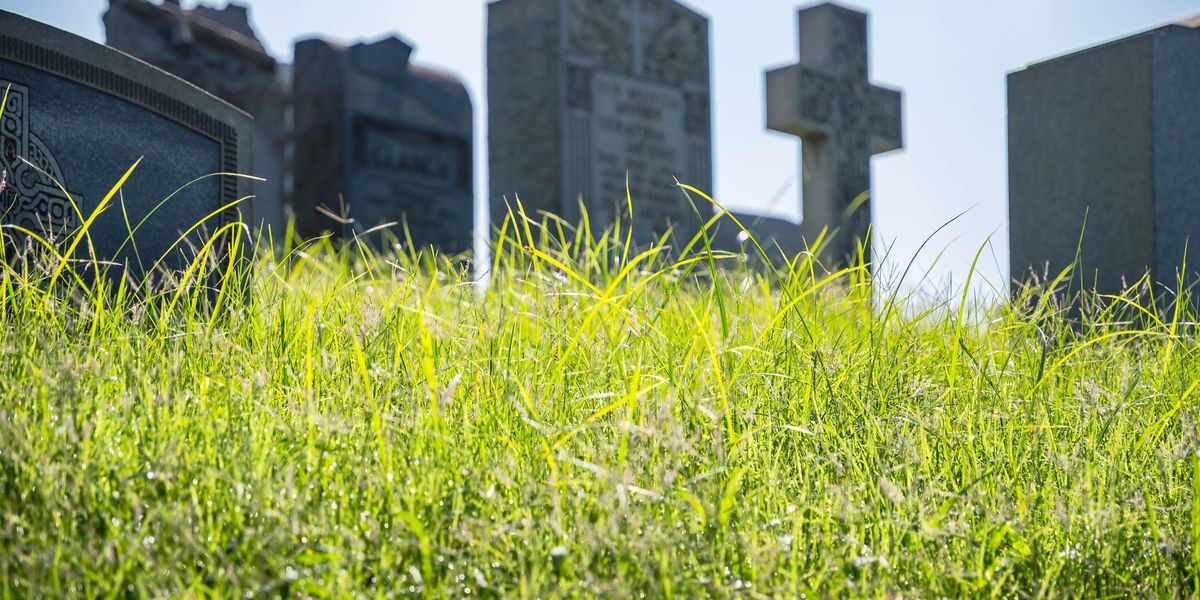 La religione green reclama i defunti. «I cari estinti? Ottimi fertilizzanti» La religione green reclama i defunti. «I cari estinti? Ottimi fertilizzanti»