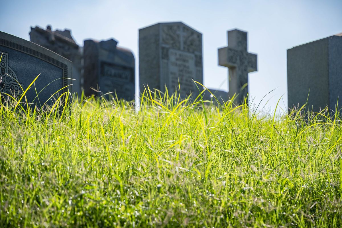 La religione green reclama i defunti. «I cari estinti? Ottimi fertilizzanti»