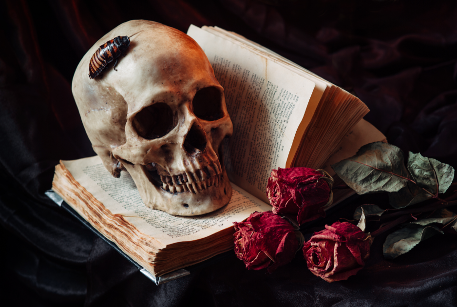 goth, gothic, middle class, education, intelligence