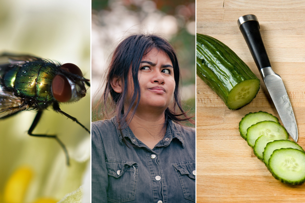 idioms, endangered idioms, weird idioms, funny idioms, catchphrases, common sayings, words of wisdom, english language, words, funny