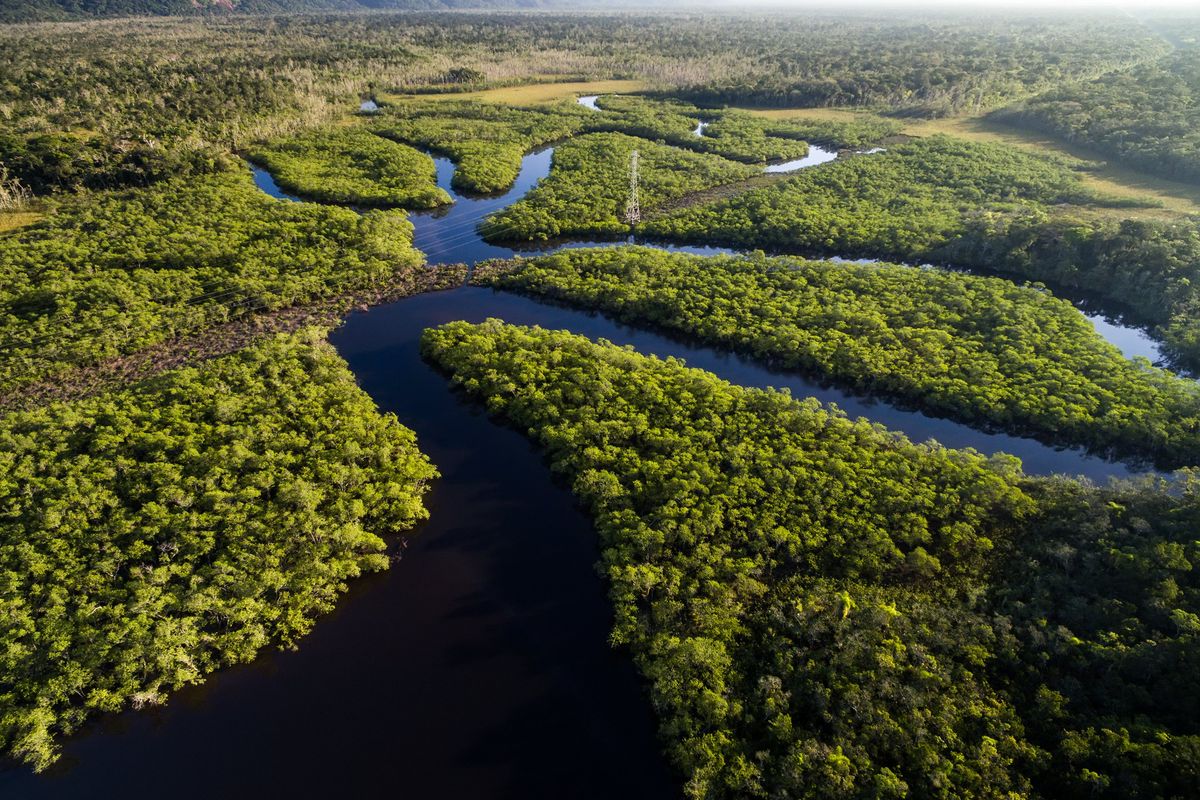 Amazzonia brasiliana risalendo il corso dei fiumi tra foreste infinite e delfini rosa