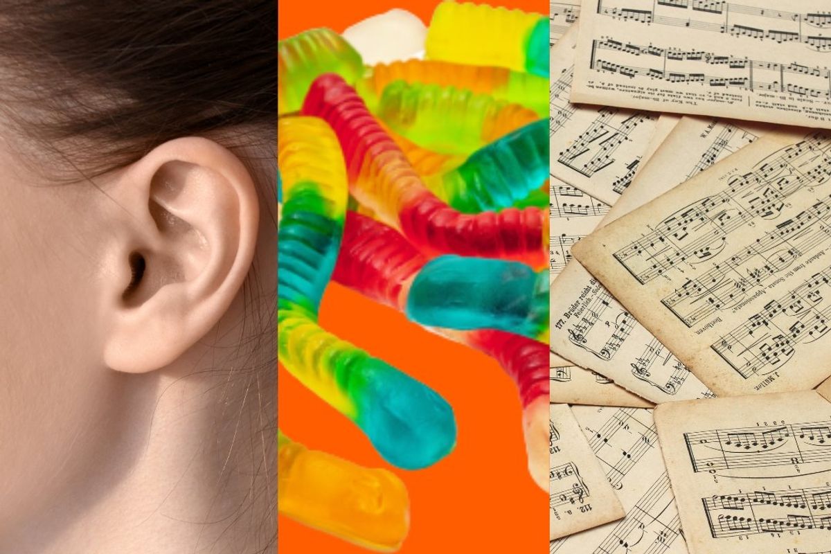 ear, earworm, worm, music, songs