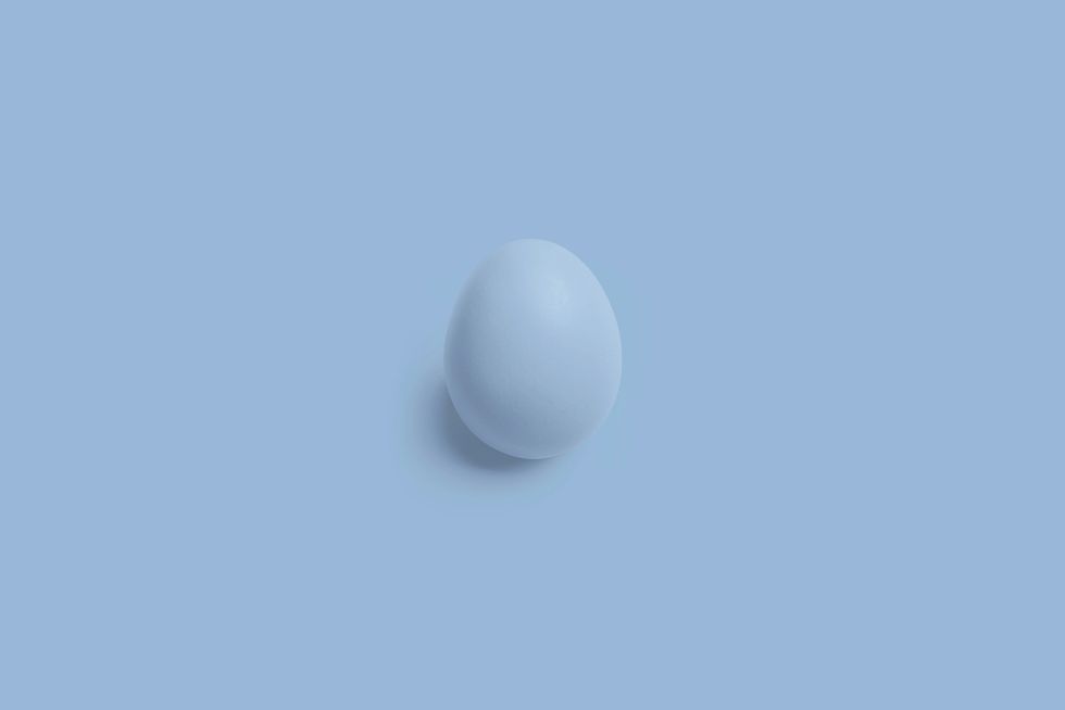 duck egg on the ground, duck egg in incubator, duckling just hatched, humanity, kindness, ducks, animals, wildlife, conservation