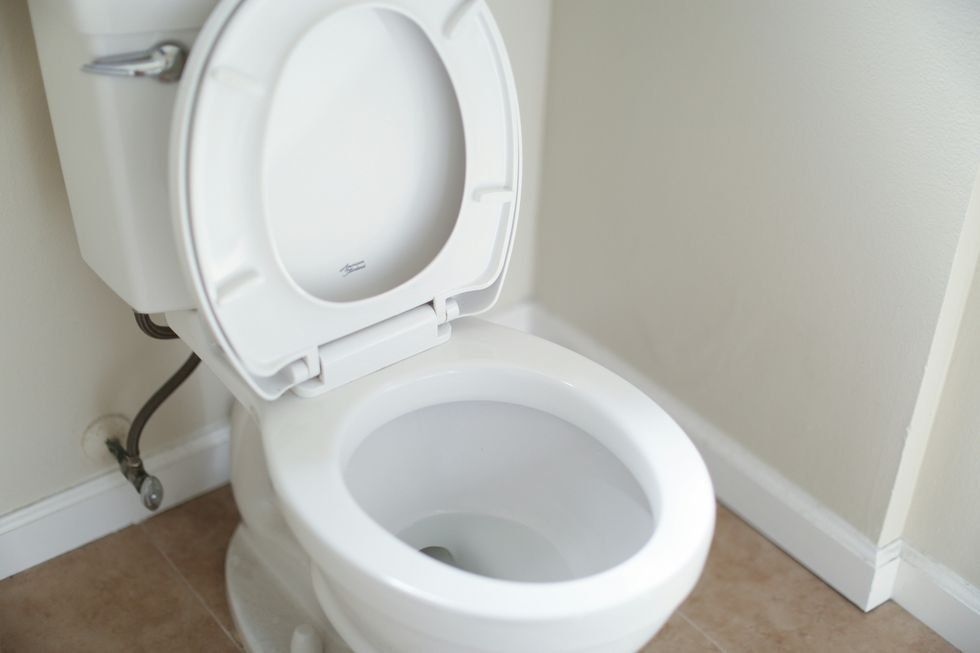 toilet, bathroom, home, hygiene, cleaning, etiquette