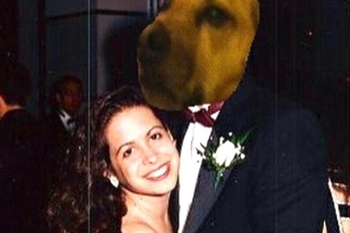 marriage, dogs, pets, companionships, happiness