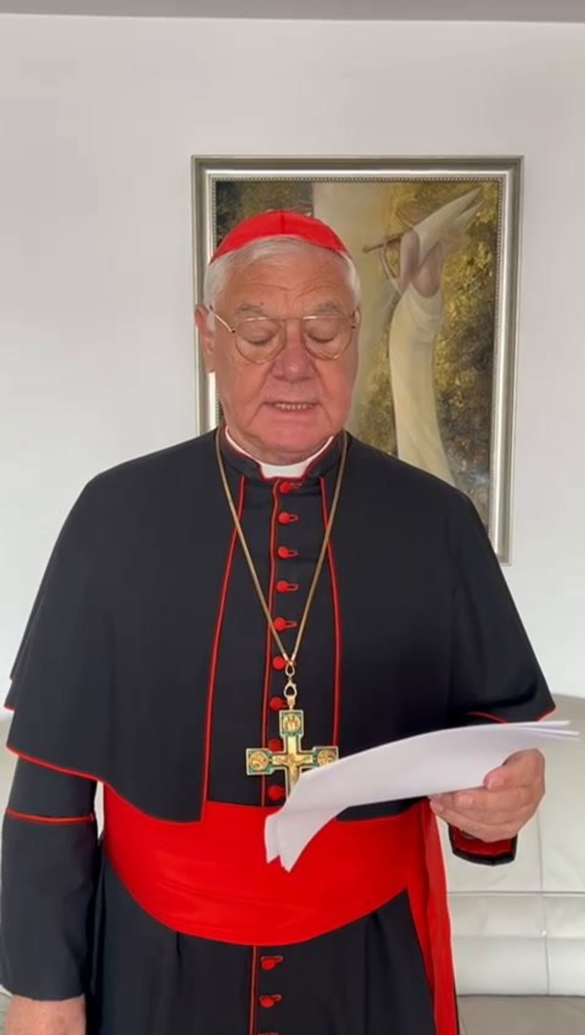Il saluto in video del cardinale Müller ai partecipanti alle Tavole di Assisi