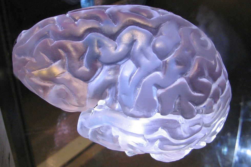 brain, mind, life, death, research