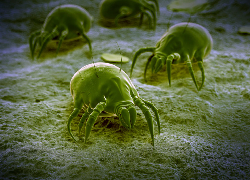 making your bed, hygiene, sleep, sleep expert, real simple, good housekeeping, life, cleaning