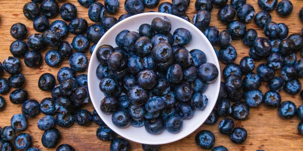 Tutti pazzi per i mirtilli, le perline blu (ma non solo) dal bosco al supermercato Tutti pazzi per i mirtilli, le perline blu (ma non solo) dal bosco al supermercato