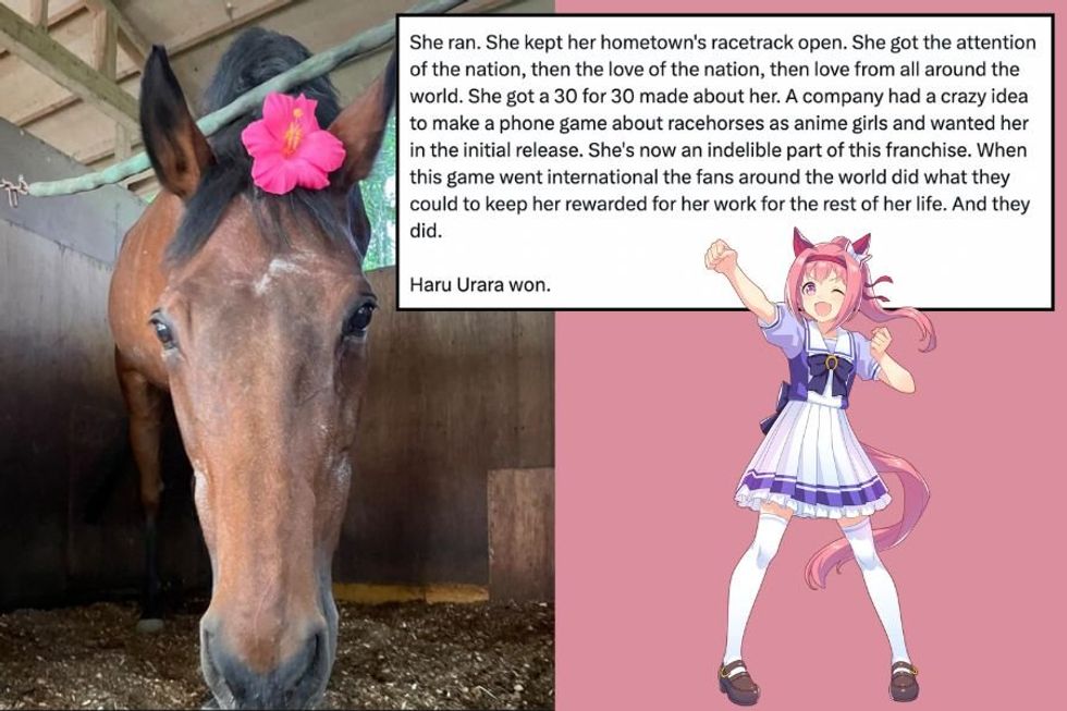 Fans mourn the death Haru Urara— beloved racehorse, anime inspiration, and 'shining star of losers'