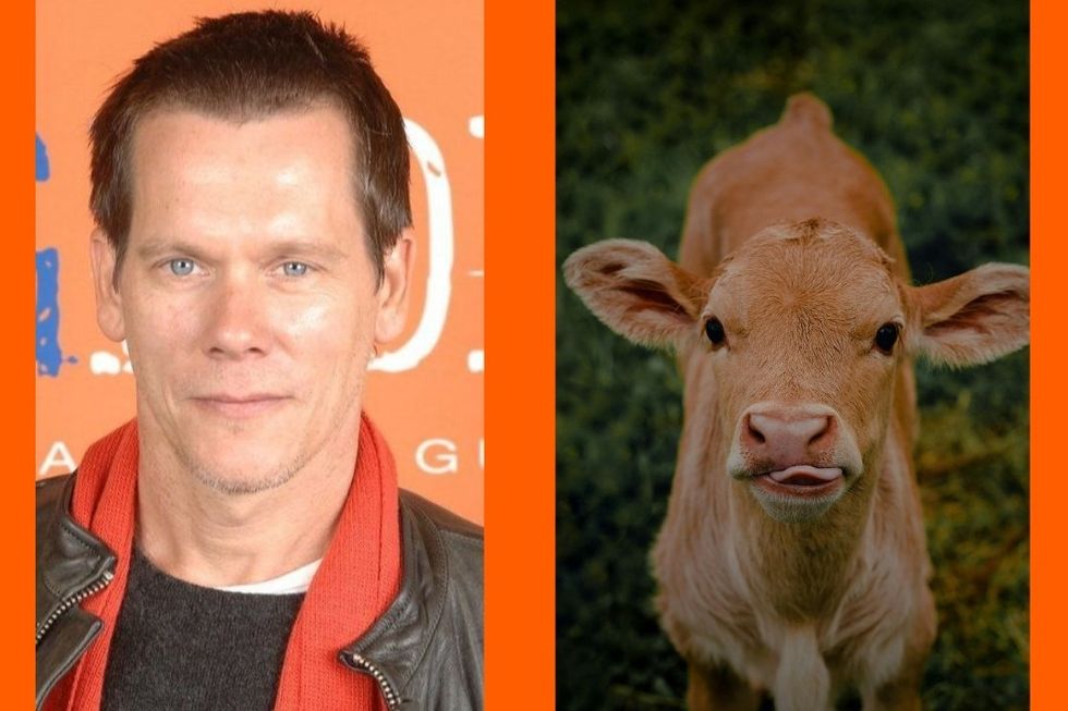 Kevin Bacon surprises Kyra Sedgwick with two adorable baby calves for her 60th birthday
