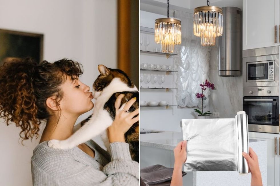 Veterinarians explain the mystery over why makes cats literally flip out over aluminum foil