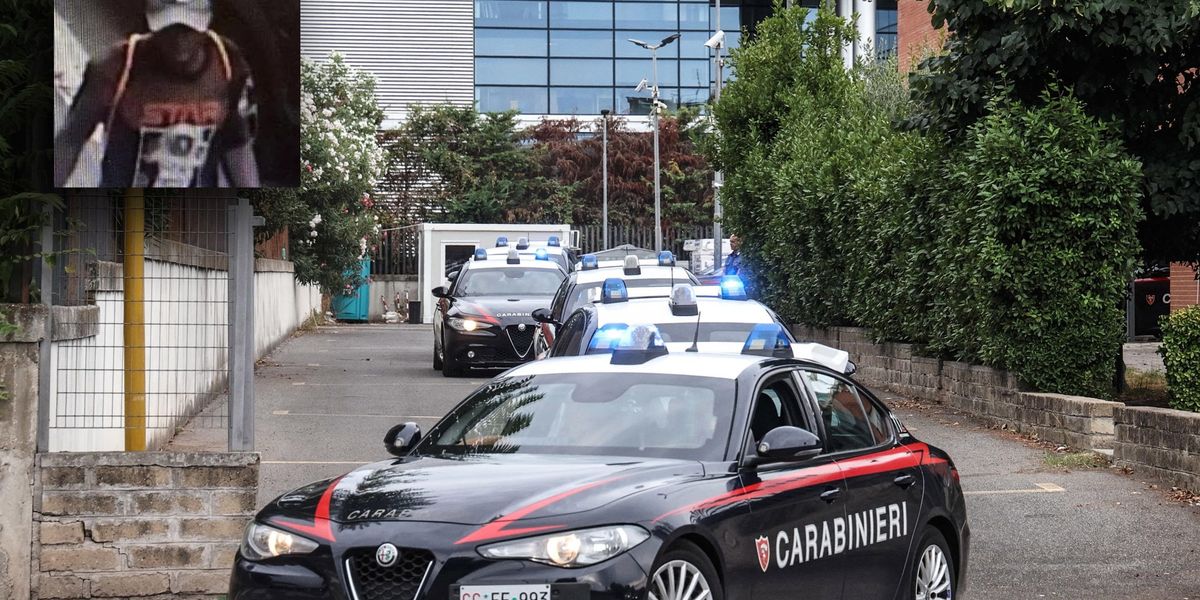 i numeri parlano chiaro importiamo stupratori
